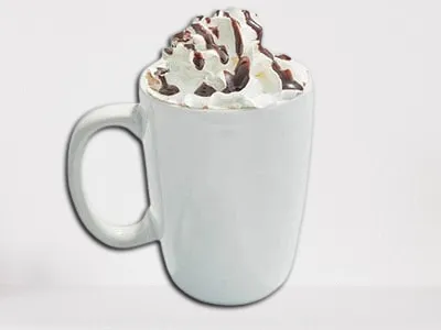 First Watch Hot Chocolate with Whipped Cream in a Mug